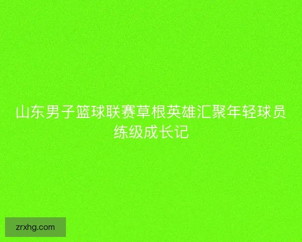 山东男子篮球联赛草根英雄汇聚年轻球员练级成长记 山东男子篮球联赛草根英雄汇聚年轻球员练级成长记